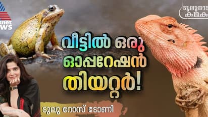 തവളയുടെ ഹൃദയം ഓന്തിന്, ഓന്തിന്റെ ഹൃദയം തവളയ്ക്ക്; ഞാന്‍ കാരണം വെള്ളത്തിലായ ഒരു ഹൃദയമാറ്റ ശസ്ത്രക്രിയ! 