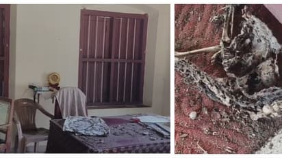 ഉച്ചഭക്ഷണം കഴിച്ചു കൊണ്ടിരിക്കവേ, ലേബർ ഓഫീസിന്റെ മേൽക്കൂരയുടെ ഒരുഭാഗം തകർന്നുവീണു; ഓഫീസർക്ക് പരിക്ക്