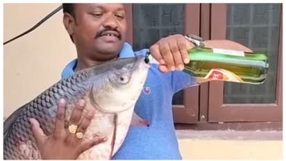 மீனை வற்புறுத்தி பீர் குடிக்க வைக்கும் வீடியோ வைரல்.. விளாசும் நெட்டிசன்கள்!