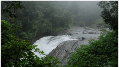 വയനാടൻ കുന്നുകളിലെ സുന്ദരി! അത്ഭുതമാണീ കാന്തൻപാറ വെളളച്ചാട്ടം