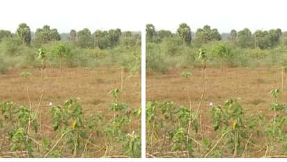 ബ്രൂവറി: 'മദ്യനിർമാണശാലകൾക്ക് അനുമതി നൽകുന്നത് ലഹരിമാഫിയയെ പാലൂട്ടുന്നതിന് തുല്യം'; ഓർത്തഡോക്സ് സഭ