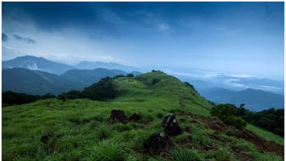 പ്രകൃതി സൗന്ദര്യത്തിന്റെ പറുദീസ... ഒരിക്കലെങ്കിലും പോയിരിക്കണം പൈതൽ പാറയിൽ