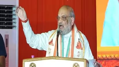 'All DMK leaders hold masters degree in...' Union Home Minister Amit Shah slams Stalin's party over corruption