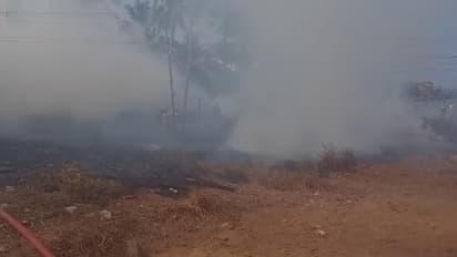 രാവിലെയോടെ കോവളത്തെ പറമ്പിൽ ആളിപ്പടര്ന്ന് തീ, പരിഭ്രാന്തരായി ബീച്ചിലും ഹോട്ടലുകളിലും ഉള്ള വിദേശികൾ, തീയണച്ചു