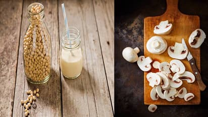 புரத சத்து கிடைக்க சிக்கன் தான் சாப்பிடணுமா? இந்த 6 சைவ உணவு இருக்கே