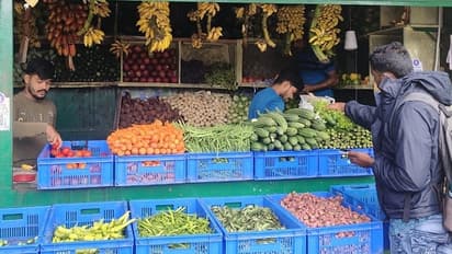 ಹಾಪ್‌ಕಾಮ್ಸ್‌ ತರಕಾರಿ ವಾಟ್ಸಪ್‌ನಲ್ಲೂ ಲಭ್ಯ: ಸ್ವಿಗ್ಗಿ, ಜೊಮೆಟೋ ಮಾದರಿ ಮನೆಗೆ ಡೆಲಿವರಿ
