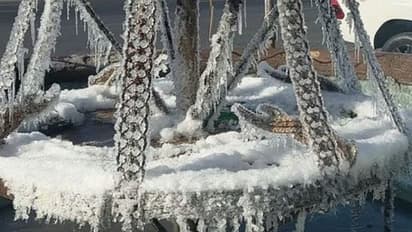 സൗദി അറേബ്യയിൽ ശീതക്കാറ്റ് ശക്തം, താപനില പൂജ്യത്തിനും താഴെ, തണുത്തുറഞ്ഞ് നീരുറവകൾ