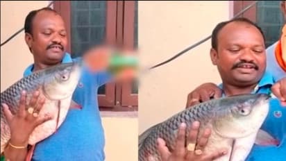 ಮೀನಿಗೆ ಬೀರು ಕುಡಿಸಿದ ಕಿಡಿಗೇಡಿ: ವೀಡಿಯೋ ವೈರಲ್ ಆಗುತ್ತಿದ್ದಂತೆ ಆಕ್ರೋಶ