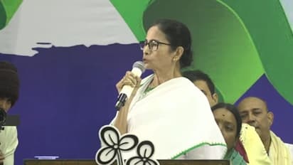 mamata