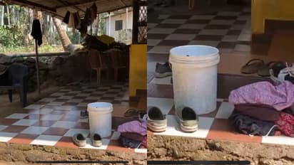 അലക്കാൻ തുണിയിട്ടുവെച്ച ബക്കറ്റെടുത്തപ്പോൾ ഷറീന ഞെട്ടി, മോഷണം പോയ 30 പവൻ തുണിക്കുള്ളിൽ, സംഭവം കോഴിക്കോട്