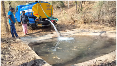 നീർച്ചോലകളെല്ലാം വറ്റി, ചൂലനൂരിൽ വന്യജീവികൾക്ക് കുടിക്കാൻ തുള്ളി വെള്ളമില്ല; ഒടുവിൽ പരിഹാരം, ടാങ്കറിലെത്തിച്ചു