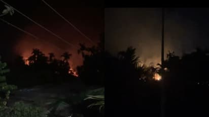 ബത്തേരി ബീനാച്ചി എസ്റ്റേറ്റില് വീണ്ടും തീപിടിത്തം, കടുവയടക്കമുള്ള വന്യജീവികളുടെ ഭീതിയില് നാട്