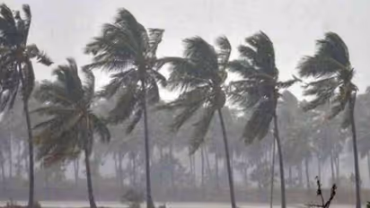 Pre-monsoon rains claim 6 lives in Karnataka, boy swept away near Bengaluru amid flooding