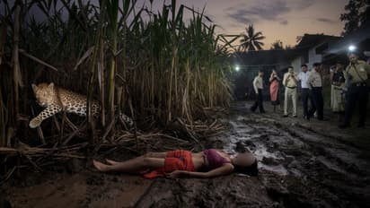 bijnor leopard attack woman death forest department negligence compensation