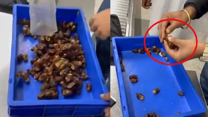 Viral: పై నుంచి చూస్తే సాధారణ ఖర్జూరాలే.. అనుమానం వచ్చి ఓపెన్‌ చేసి చూడగా, ఫ్యూజుల్‌ అవుట్‌.. 