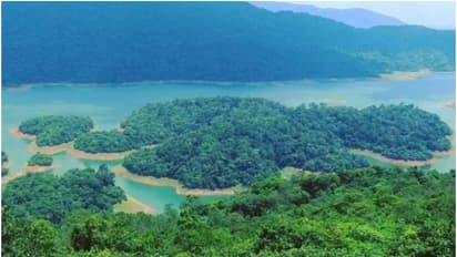 15 കിലോ മീറ്റർ വനത്തിലൂടെ ഒരു യാത്ര, ഫോണിൽ നോ റേഞ്ച്; ആനയും കടുവയും പുലിയും വാഴുന്ന റോസ്മല കാണാൻ പോകാം