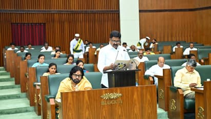 Andhra Pradesh Budget 2025 : అసలు మూలధన వ్యయం అంటే ఏమిటి? రూ.40,635 కోట్లు ఖర్చుచేస్తారా!