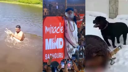 Memes of the Day: From Sadhguru's meditation app to jaw-dropping escapes, here's what took over the internet