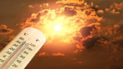 கொளுத்தும் கோடை வெயில்; உடல் சூட்டை தணிக்க குடிக்க வேண்டிய '5' பானங்கள்