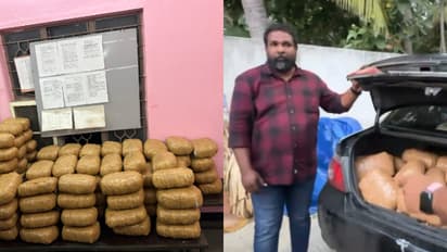 വാഹന പരിശോധനയ്ക്കിടെ മിന്നൽ വേഗത്തിൽ പാഞ്ഞ് കാറുകൾ, 'ബ്രൂസ്ലി' അറസ്റ്റിൽ, കണ്ടെത്തിയത് 176 കിലോ കഞ്ചാവ്