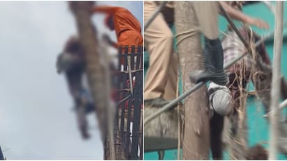 തെങ്ങു വെട്ടുന്നതിനിടെ മെഷീൻ കഴുത്തിൽ കൊണ്ട് പരിക്കേറ്റു; എറണാകുളം ചേരാനല്ലൂരിൽ തൊഴിലാളിയ്ക്ക് ദാരുണാന്ത്യം