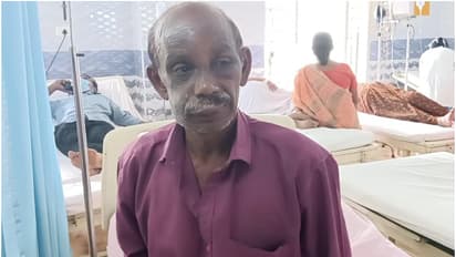 തേനീച്ചക്കൂട്ടിൽ വന്നിടിച്ചത് പരുന്ത്, പണി കിട്ടിയത് പെൻഷൻ വാങ്ങാനെത്തിയ പാവങ്ങൾക്ക്; ഏഴോളം പേരെ കുത്തി