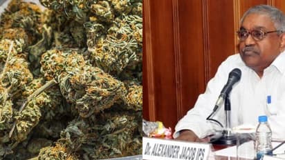 'കഞ്ചാവ് എസ്റ്റേറ്റിലേക്ക് കയറി, തോക്കുധാരികളായ 9 പേര്'; ലൈവത്തോണില് അനുഭവം പങ്കുവച്ച് അലക്സാണ്ടർ ജേക്കബ്