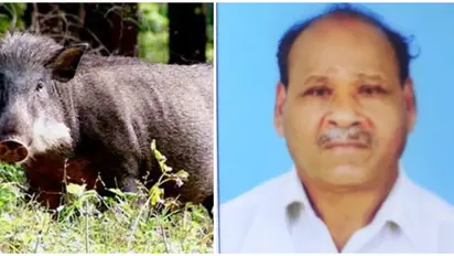 കണ്ണൂരില് കാട്ടുപന്നി ആക്രമണത്തിൽ കർഷകന് ദാരുണാന്ത്യം