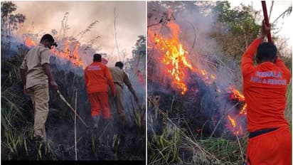 മുക്കത്തുനിന്നും കിലോമീറ്റർ അകലെ തീ കത്തുന്നത് പാലത്തിൽ നിന്ന യുവാവ് കണ്ടു, ഉടുമ്പുമ്പാറ തീപ്പിടിത്തത്തിൽ രക്ഷ