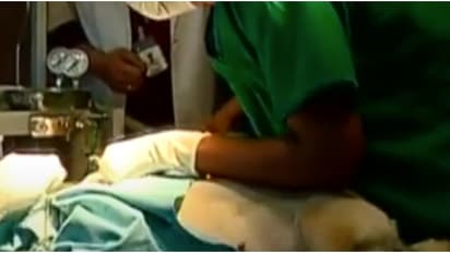 വെറ്ററിനറി സര്‍ജന്‍ വാക്ക് ഇന്‍ ഇന്റര്‍വ്യൂ നാളെ രാവിലെ 11 മുതൽ