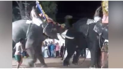 ഉത്സവത്തിനിടെ ആന ഇടഞ്ഞ സംഭവം; ആന ഉടമ, പാപ്പാൻ ഉൾപ്പെടെ നാലുപേർക്കെതിരെ കേസെടുത്ത് വനം വകുപ്പ്