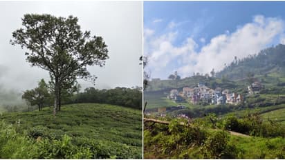 ഊട്ടി ഒന്ന് മാറ്റിപ്പിടിച്ചാലോ? തൊട്ടടുത്തുണ്ട് സൂര്യൻ വൈകി ഉദിക്കുന്ന, മഞ്ഞ് പെയ്യുന്ന ഒരു നാട്!