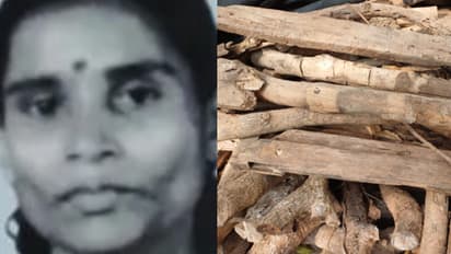 എല്ലാവരും സൂക്ഷിക്കണം! പതിയിരുന്നത് വലിയ അപകടം,വിറകെടുക്കുന്നതിനിടയിൽ പാമ്പുകടിയേറ്റ വീട്ടമ്മ മരിച്ചു