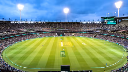 புதுச்சேரி டி20: புல்ஸ் vs டைகர்ஸ் ஆட்டம்! Dream 11 வெற்றி கணிப்பு இதோ!