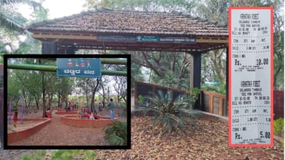 Bhatkal: ಅರಣ್ಯ ಇಲಾಖೆಯ ಹೊಸ ರೂಲ್ಸ್‌, ಪಾರ್ಕ್‌ನಲ್ಲಿ ಮಕ್ಕಳು ಆಟವಾಡೋದಕ್ಕೆ ಕೊಡಬೇಕು ಫೀಸ್‌!