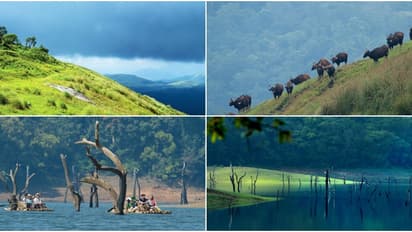 Plan a Quick Getaway: 5 Awesome Weekend Spots in Kerala