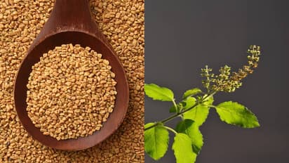 இந்த 3 பொருட்களை மென்று சாப்பிட்டால்... உடல் எடை சரசரவென்று குறையும்