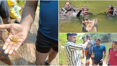 യുവാവിന്റെ മാല നദിയിൽ പോയി, ഒഴുക്കും പാറക്കൂട്ടവും വെല്ലുവിളിയായിട്ടും മുങ്ങിയെടുത്ത് ഫയർഫോഴ്സ് സ്കൂബാ ടീം