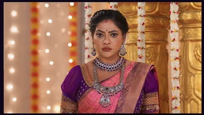 Karthigai Deepam: உண்மையை உடைத்த கார்த்தி - மேடையில் ஷாக் கொடுத்த சாமுண்டீஸ்வரி; 'கார்த்திகை தீபம்' அப்டேட்!