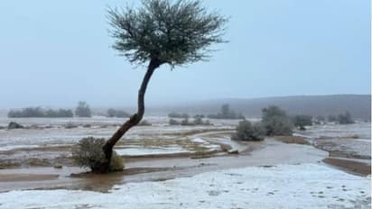 സൗദിയിൽ വെള്ളിയാഴ്ച വരെ കനത്ത മഴ തുടരും, ഇന്ന് സ്കൂളുകൾക്ക് അവധി