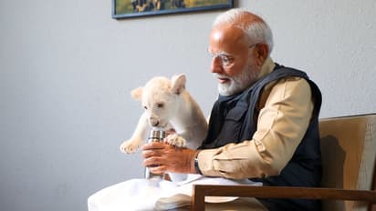 Vantara : సింహం పిల్లను ఒళ్లో కూర్చోబెట్టుకుని పాలుపట్టిన ప్రధాని మోదీ