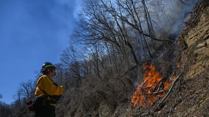 Terrifying study predicts exactly how many people will DIE in fires caused by climate change by 2100