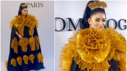 ಪ್ಯಾರಿಸ್ ಕಾರ್ಯಕ್ರಮದಲ್ಲಿ ಕಣ್ಣುಕುಕ್ಕಿದ ಊರ್ವಶಿ ರೌಟೇಲಾ 3ಡಿ ಡ್ರೆಸ್‌