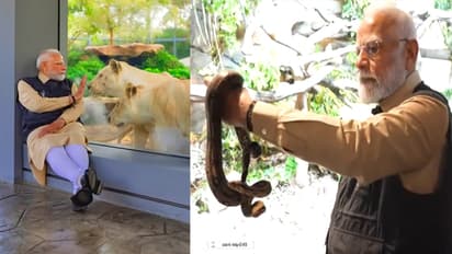 ಹುಲಿ, ಸಿಂಹ ಸೇರಿ ವನ್ಯಜೀವಿಗಳ ಜೊತೆ ಸಮಯ ಕಳೆದ ಮೋದಿ, ವಂತಾರದಲ್ಲಿ ಏನೆಲ್ಲಾ ಇದೆ?