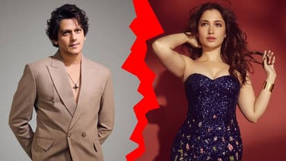 తమన్నా, విజయ్ వర్మ బ్రేకప్: అసలేం జరిగింది? 