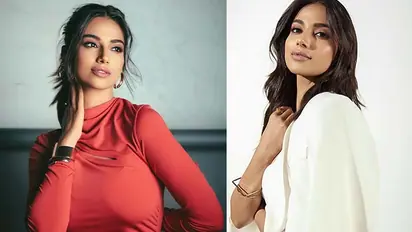 Meenakshi Chaudhary net worth: Income, assets, remuneration, and more