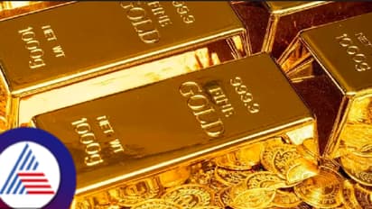 ಆರ್ಥಿಕ ಸಂಕಷ್ಟದಲ್ಲಿದ್ದ ಪಾಕಿಸ್ತಾನದಲ್ಲಿ ಬೃಹತ್ ಚಿನ್ನದ ನಿಕ್ಷೇಪ ಪತ್ತೆ! ಅದರ ಮೌಲ್ಯ ಎಷ್ಟು ಸಾವಿರ ಕೋಟಿ ಗೊತ್ತಾ?