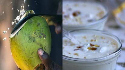 கொங்கு நாட்டு இளநீர் பாயாசம் – வீட்டிலேயே செய்வது எப்படி?