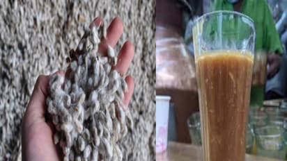 மதுரை சூடான பருத்திப்பால்...இப்படி ஒரு சுவையான, ஆரோக்கிய பானத்தை நீங்க பார்த்திருக்கவே மாட்டீங்க