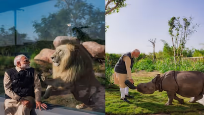 क्या गिर के शेर अब सुरक्षित नहीं? जानिए उनके लिए Modi सरकार की नई योजना!